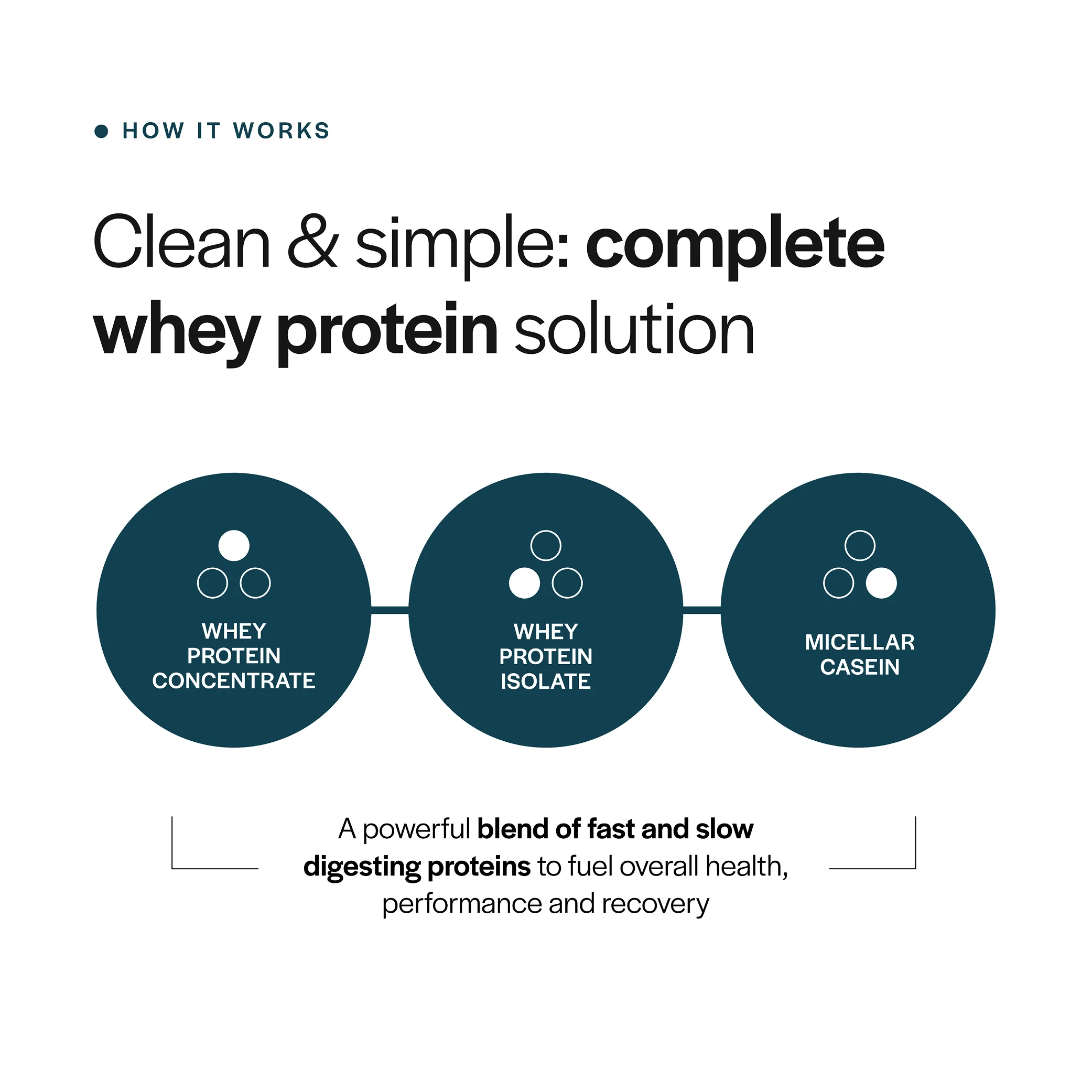 Everyday Whey Protein - Image 6